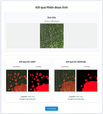 Kết quả phát hiện lúa cỏ từ các mô hình