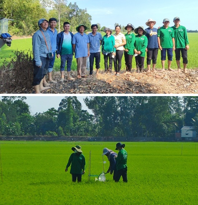 Công tác chuẩn bị và lấy dữ liệu tại thực địa